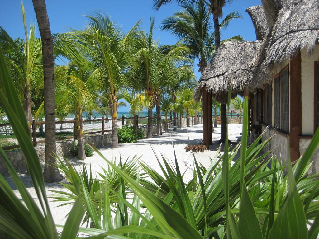 Beach Guesthouse Holbox Apartments & Suites ภายนอก รูปภาพ