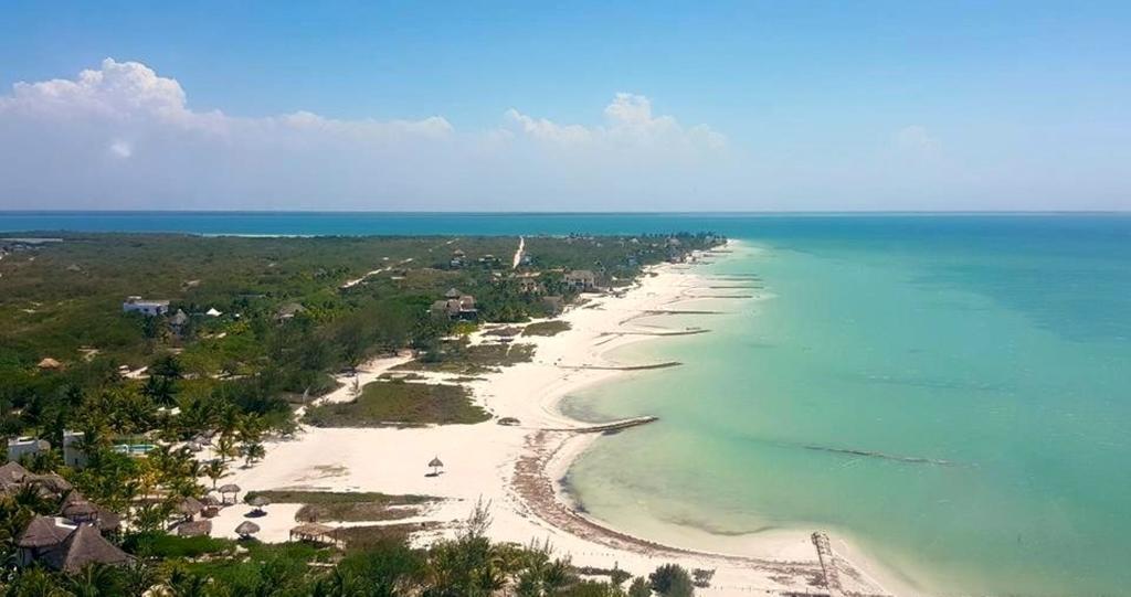 Beach Guesthouse Holbox Apartments & Suites ภายนอก รูปภาพ