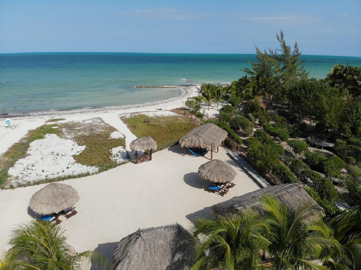 Beach Guesthouse Holbox Apartments & Suites ภายนอก รูปภาพ