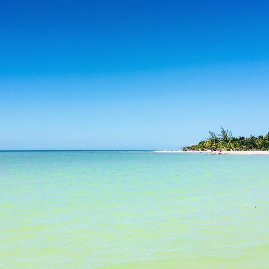 Beach Guesthouse Holbox Apartments & Suites ภายนอก รูปภาพ